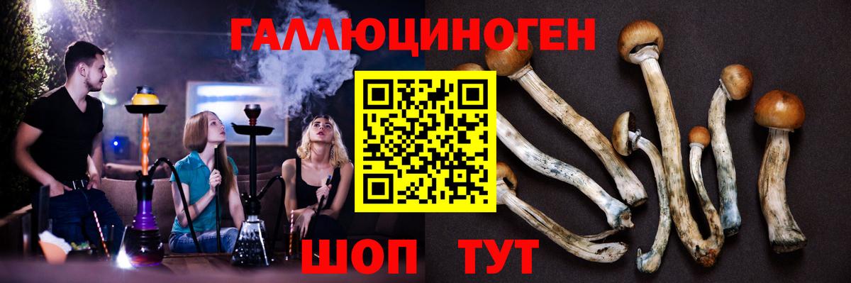 Псилоцибиновые грибы мухоморы  Псилоцибиновые грибы ЛСД  Вход с VPN  Курчатов 