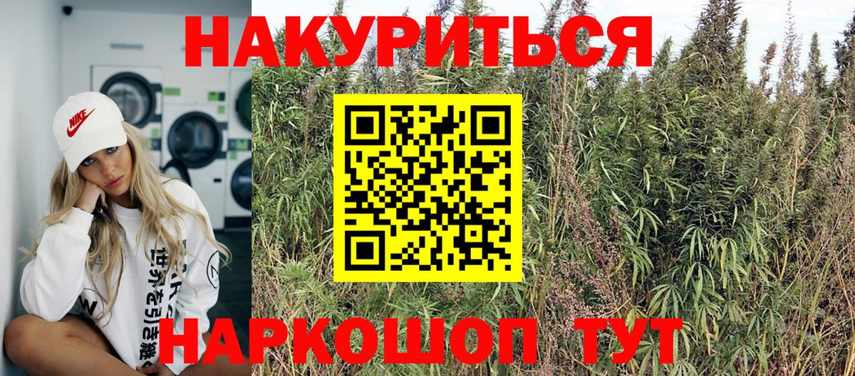 Шишки марихуана план  Вход с VPN  Курчатов  Бошки Шишки ГИДРОПОН  Каннабис White Widow 